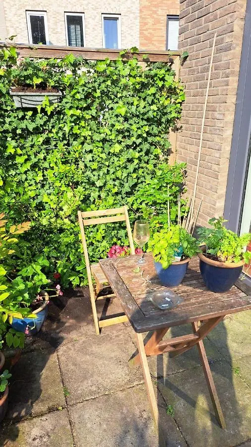 Dubbelink 3A Apartment Amsterdam Homestay
