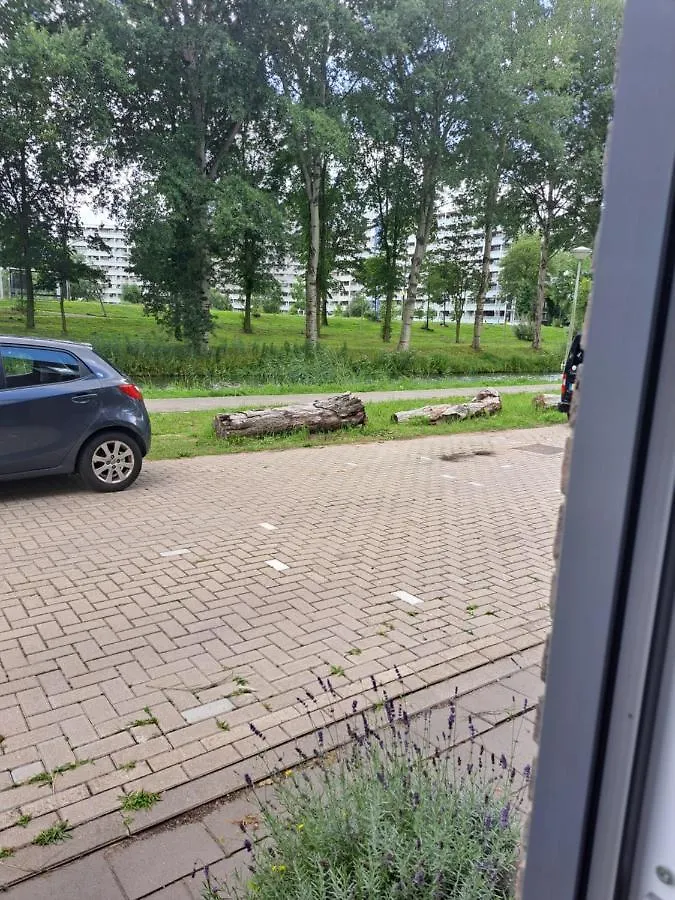 Séjour chez l'habitant Appartement Dubbelink 3A à Amsterdam