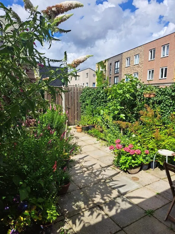 Appartement Dubbelink 3A à Amsterdam 0*,  Pays-Bas